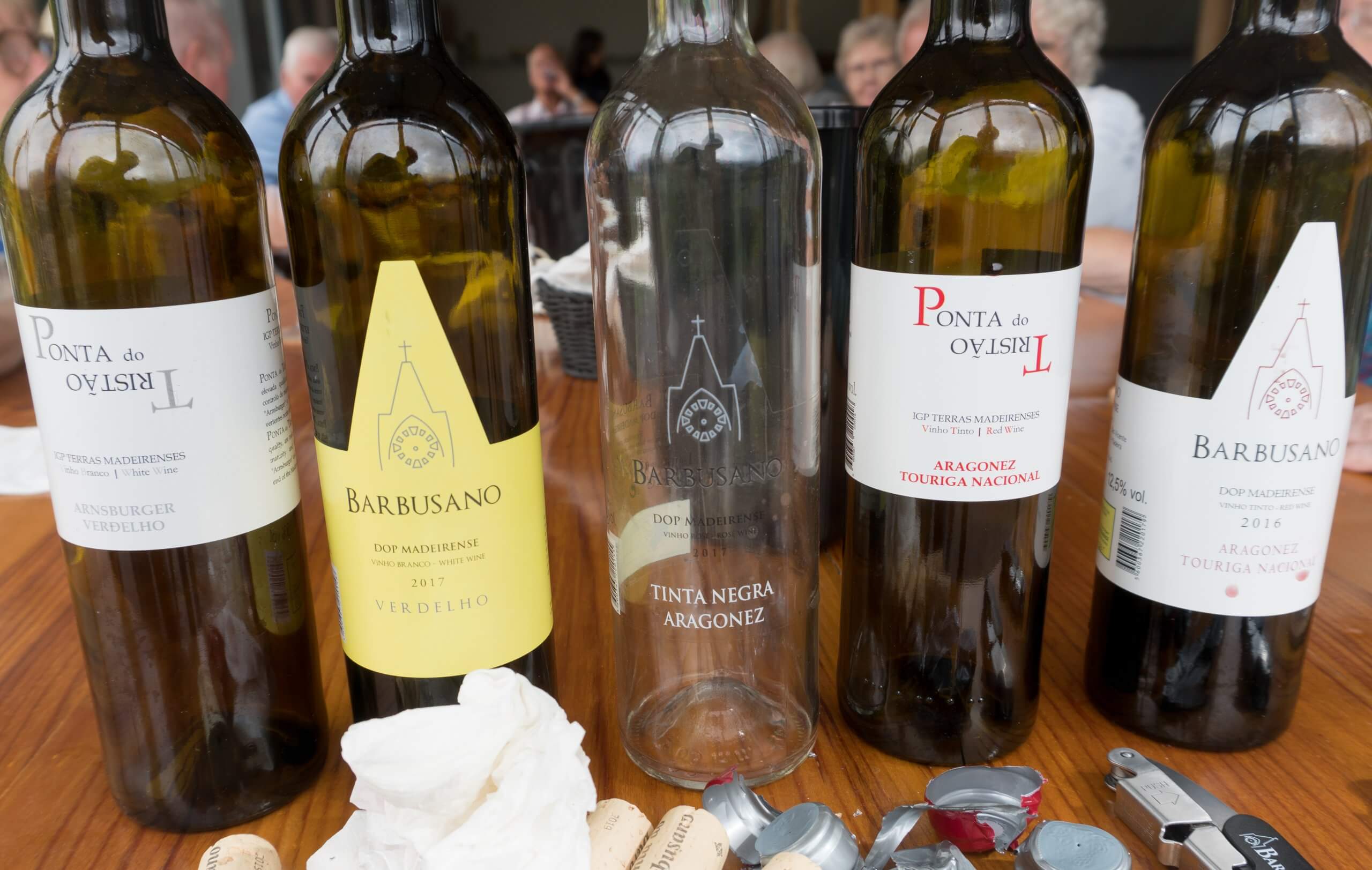 five empty bottles of barbusano wine standing side by side on the table at Barbusano wine tasting